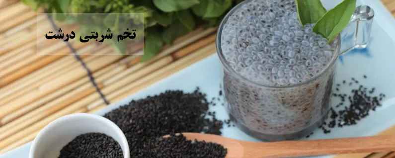 تخم شربتی درشت اعلا ویژه محرم